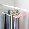 Multi-functional belt and tie hanger organizer holding multiple ties and leather belts in a closet