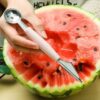 Multi Functional Fruit Slicer and Wedge Cutter