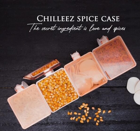 4 Section Clear Spice Case Seasoning Organizer with Spoons