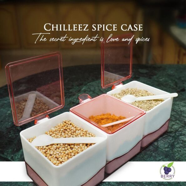 3 Section Clear Spice Box Organizer with Lids and Spoons